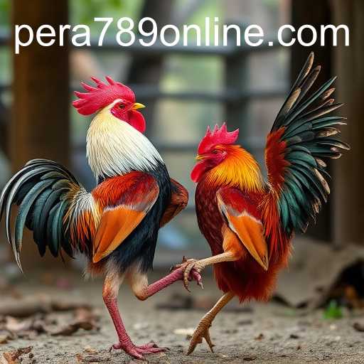 Online Sabong: Exploring the Digital Arena with PERA789